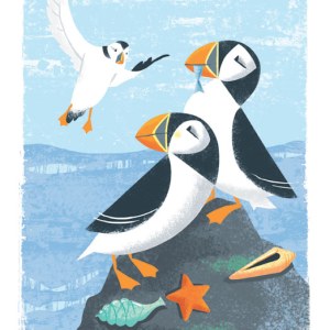 AR DVH0317Apuffinswithseagull PLCRFT PLG