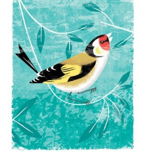 AR DVH0318birds PLCRFT