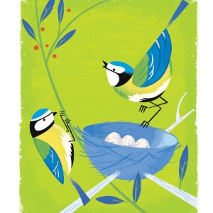 AR DVH0316birds1 PLG PLEM