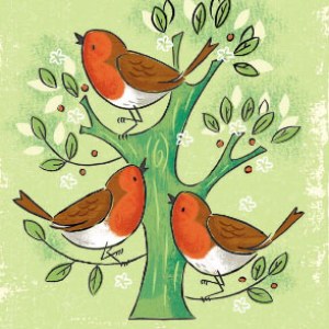 AR DVH0183 robin 469