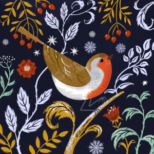 AR DVH0365 Robin