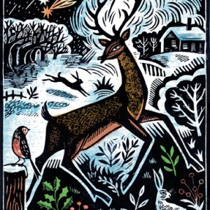 AR DVH0387stag2colour