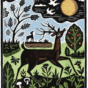 David Hitch AR DVH0383  deer colour