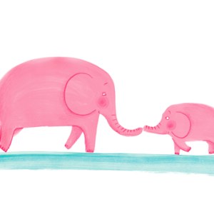 CAT0056elephantsTFHRA Y