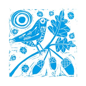 CWE0246 Acornbird