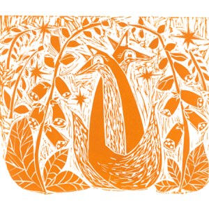 cwe0240 foxes