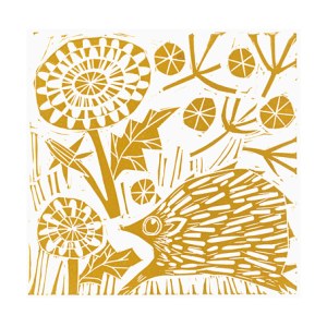 CWE0242 hedgehog dandlion