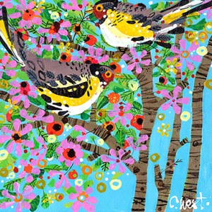 CWE0015 finches PLGX PLPRLE PLPRWWEXUSA