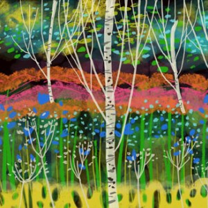 CWE0167 silver birch PLG