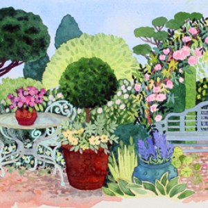 WIN0012 A left ornamentalgardenTFHRA Y