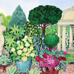 WIN0012 A right ornamentalgardenTFHRA Y