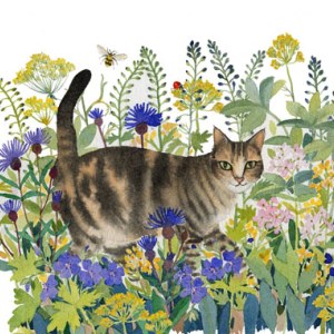WIN0359 Tabby L