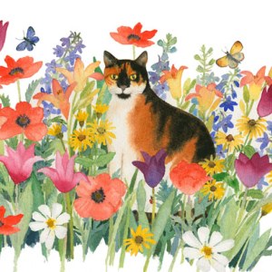 WIN0362 Tortoiseshell R