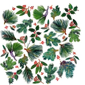 WIN0298 Winter sprays
