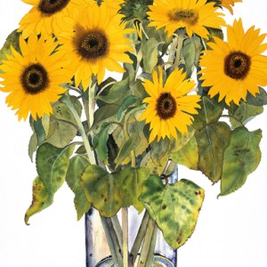 Claire Winteringham WIN0304 strong sunflowers