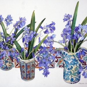 WIN0031bluebellsandtilesPLG EX 2016 PLPRWW Y