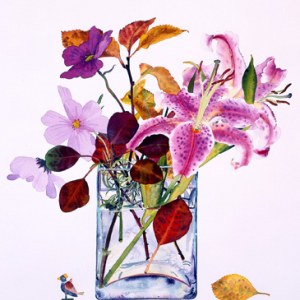 WIN0045 lily cotinus bird PLGX