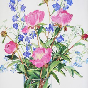 WIN0052peonyanddelphinium PLGX PL PLPRLE Y