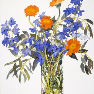 WIN0066 gerbera and delphiniums smallfile TFHRA Y