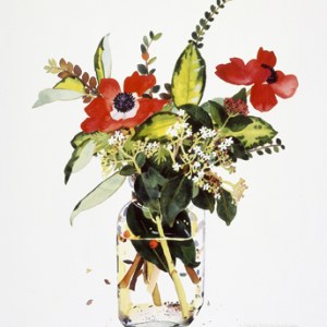 WIN0067 anemones and vibernam smallfile TFHRA. Yjpg