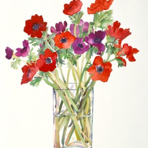 WIN0068red anemones smallfile TFHRA Y