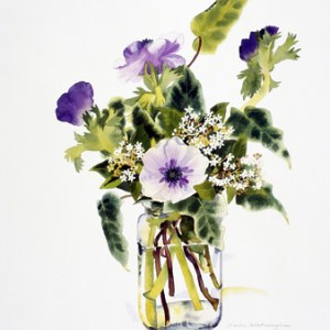 WIN0072 anemonea and ivyTFHRA Y