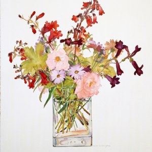 WIN0074 rosesandpenstemen PLPRWW Y