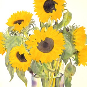 WIN0114big sunflowers smallfile TFHRA Y
