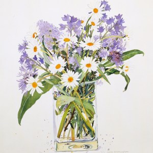 WIN0116bluebells and daisies