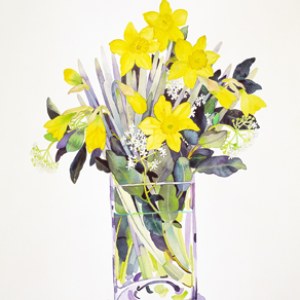 WIN0119 daffodils