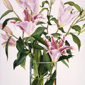 WIN0125 opening lilies