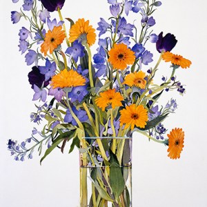 WIN0153gerbera,delphiniumsandblacktulips Y
