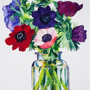 WIN0182 Joanne's anemones TFHRA Y