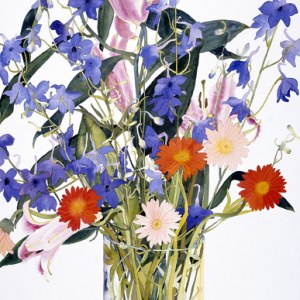 WIN0193 summer flowersTFHRA Y
