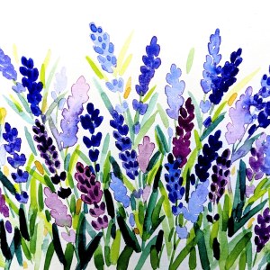 WIN0307 LAVENDER PLGX