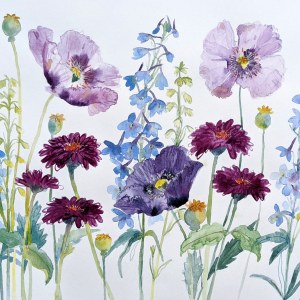 WIN0310 DELPHINIUMS