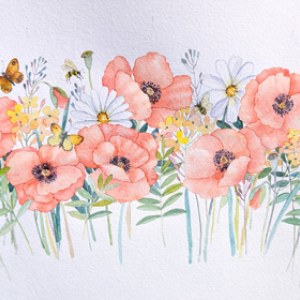 WIN0365 poppies
