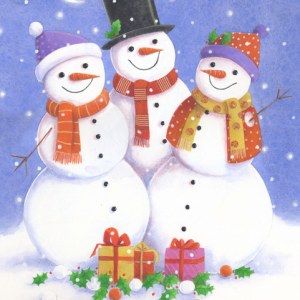 DMY0032 Snowfriends copy
