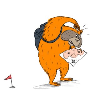 ELX0041 Orangutang