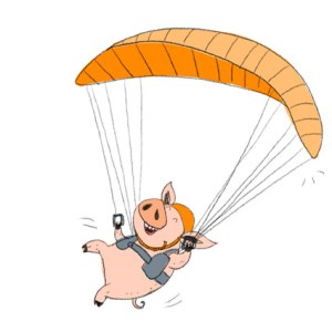ELX0042 Pig