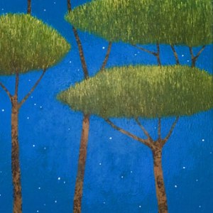 EBR0233 looking at stars.acrylic on wood.40x90cm1