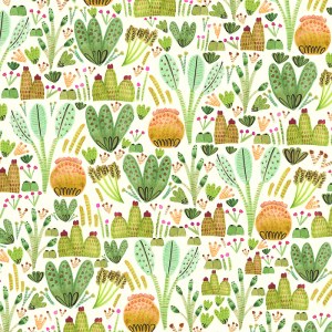 GLA00057 Succulents and Cacti Garden PL