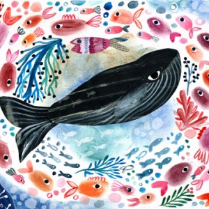 GLA0187 Whale TFHRA