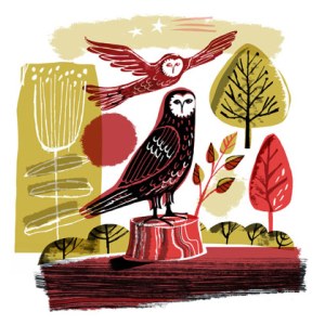GMA0112  OWL