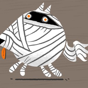 AR GRC0052mummy dog