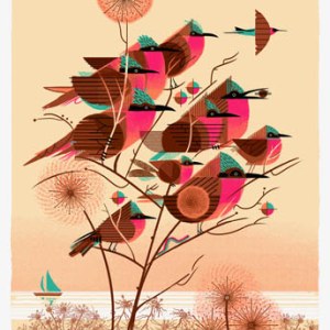 AR GRC0130 carmine bee eaters