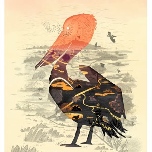 AR GRC0130 RE BIRDINGPelican