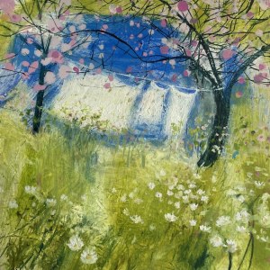 ASK0935SUNSHINEMEADOW