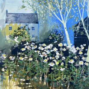 ASK0981 daisies