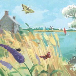 HUM0015 Summer Butterflies PLGWWEXNA Y